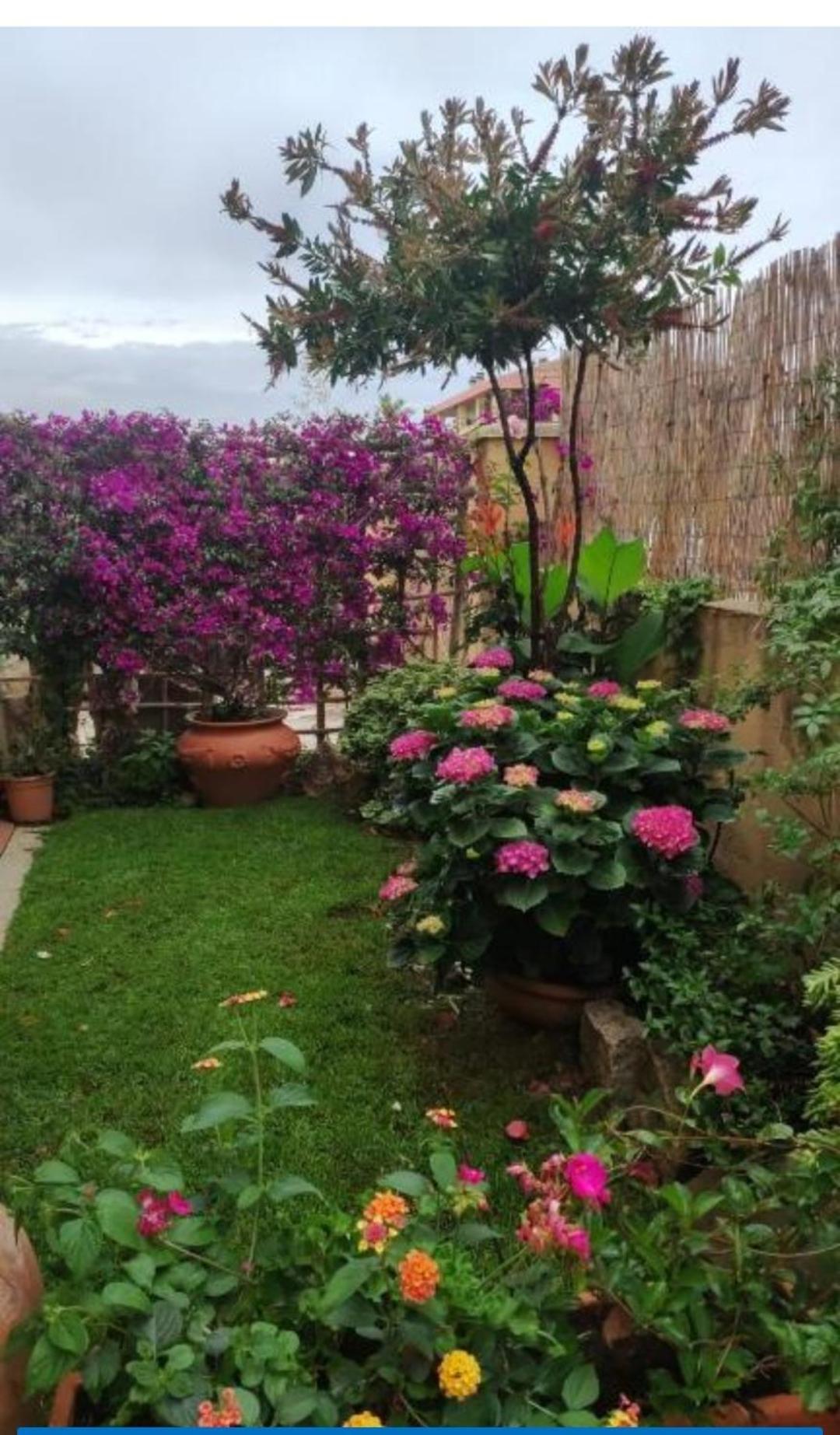 La Casa Di Luca Appartement Olbia Buitenkant foto